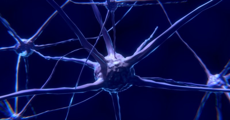 脳の神経回路ニューロン